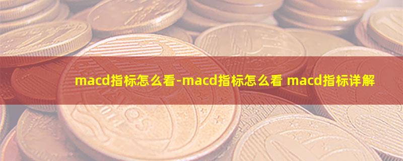 macd指标怎么看.jpg